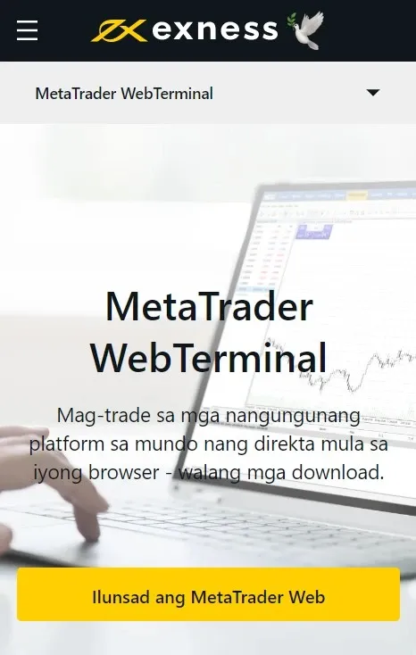 Web Terminal网络终端 